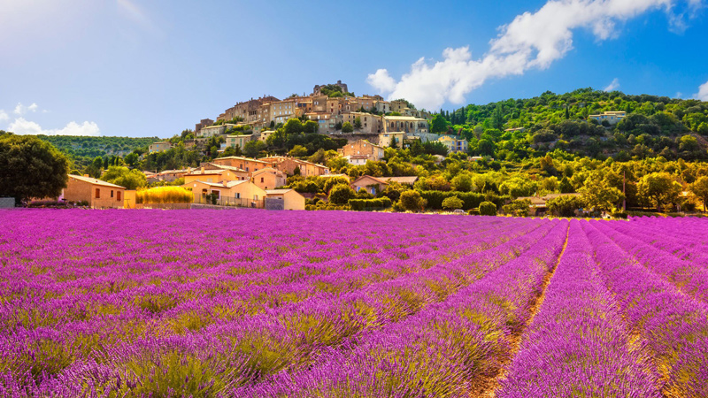 Provence til Carmague